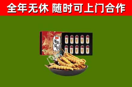 东明回收冬虫夏草价格