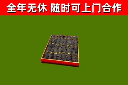 东明回收海参